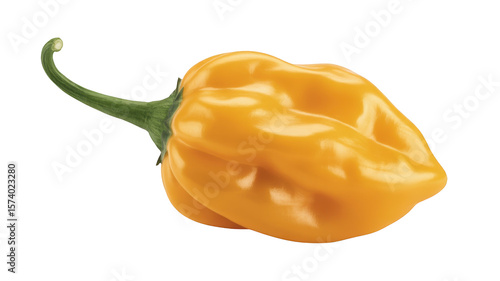 Yellow habanero pepper with green stem isolated on a transparent background chili spice © MSTSHEWLI