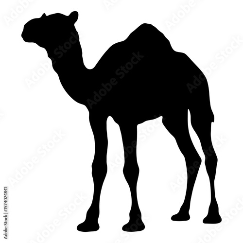 black silhouette of whole standing camel, vector animal	