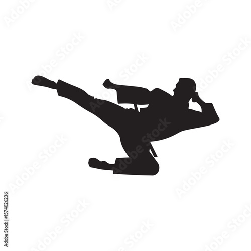Martial Arts Fighter Silhouette Jump Kick Karate Taekwondo Illustration