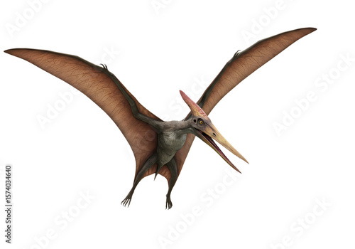Detailed Rendering of a Pterodactyl in Flight Against a White Background isolated on transparent background