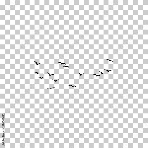 Flying Bird Silhouettes