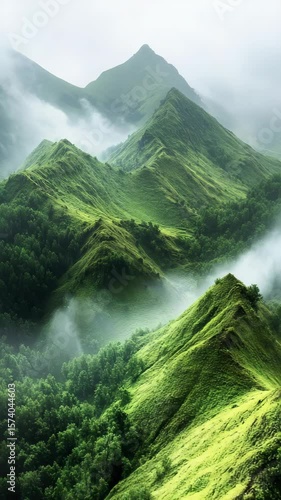 The mountains are covered in green grass and trees