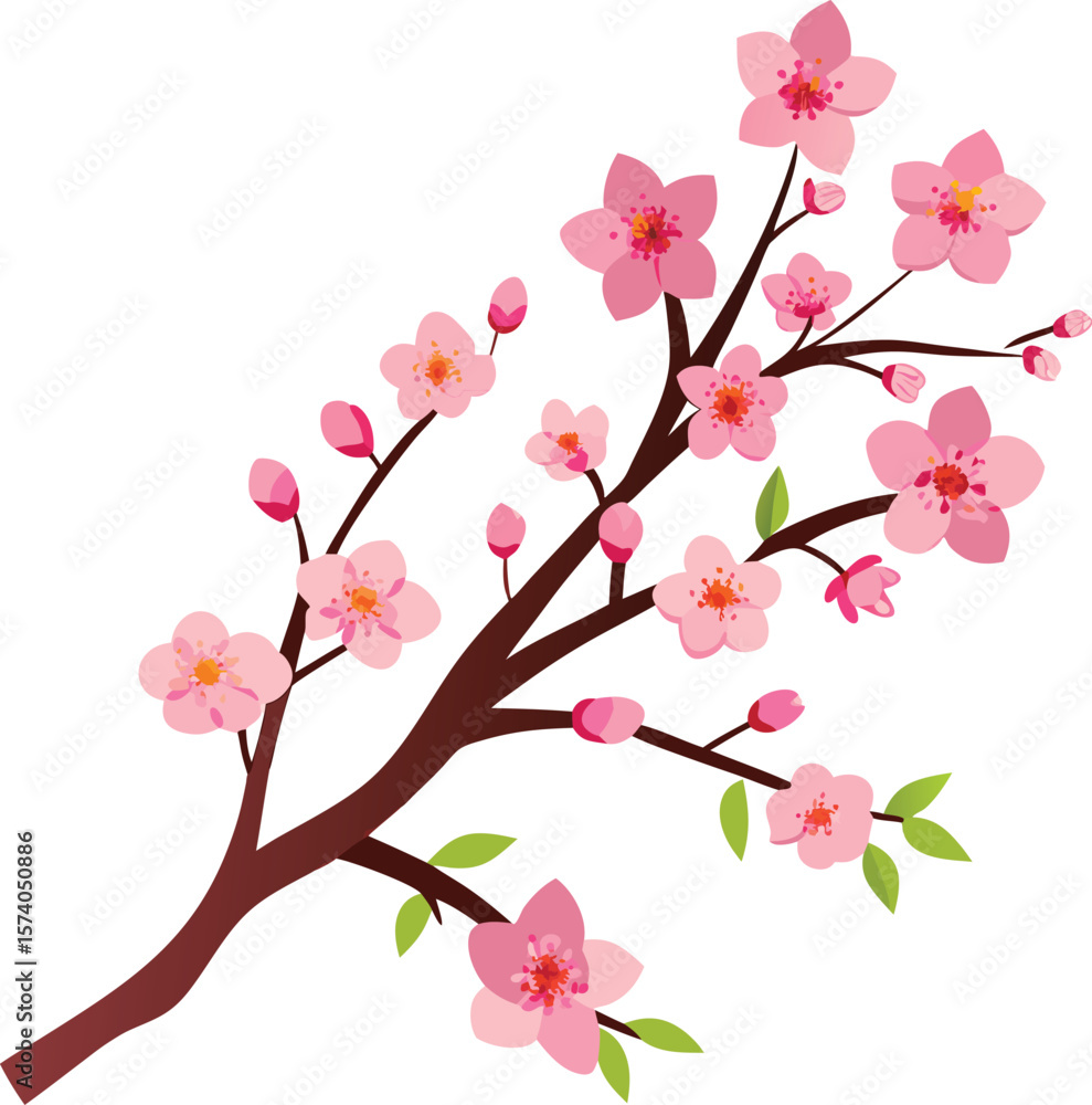 Fototapeta premium Delicate pink cherry blossoms on a branch