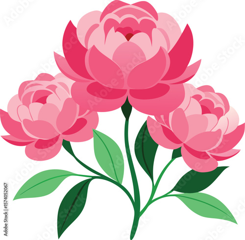 Three pink peony flowers with green leaves
