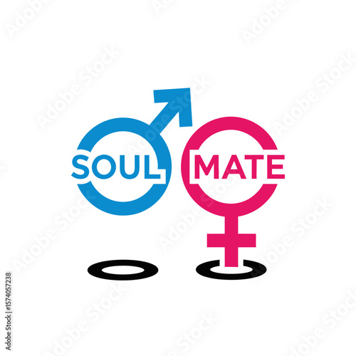Soulmate concept featuring male and female symbols in blue and pink, showcasing love, connection, and relationship