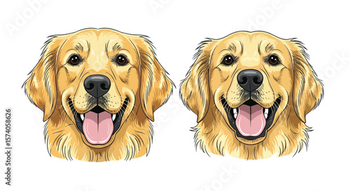 The illustration shows two golden retriever dogs with happy expressions face on