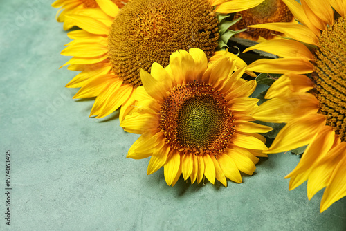 Beautiful sunflowers on gru...