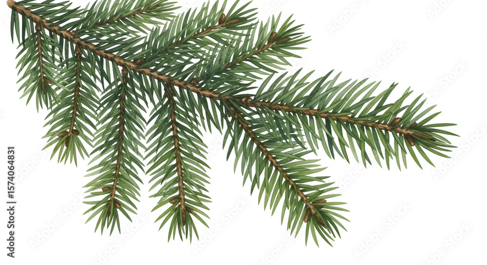 Create Evergreen Branch with Transparent Background, Perfect for Design Projects and Digital Art Create Evergreen Branch with Transparent Background, Perfect for Design Projects and Digital Art
