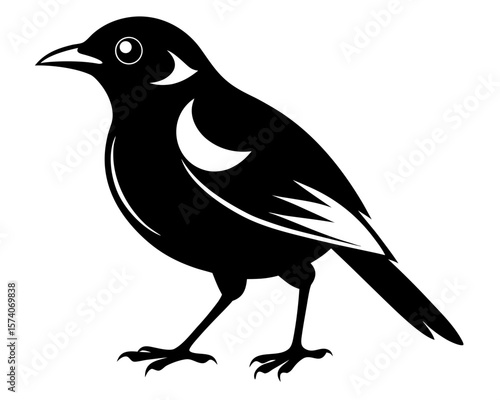 bali myna vector black animal silhouette