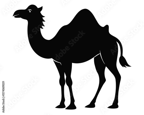 bactrian camel vector black animal silhouette