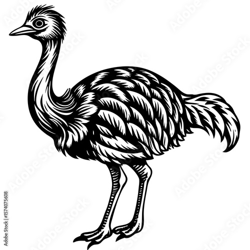 ostrich cartoon isolated on white