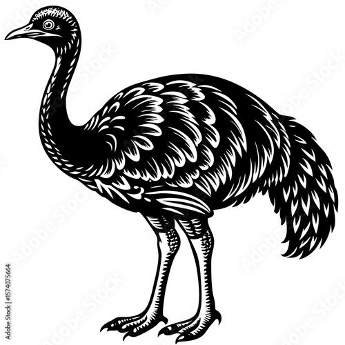 ostrich cartoon isolated on white