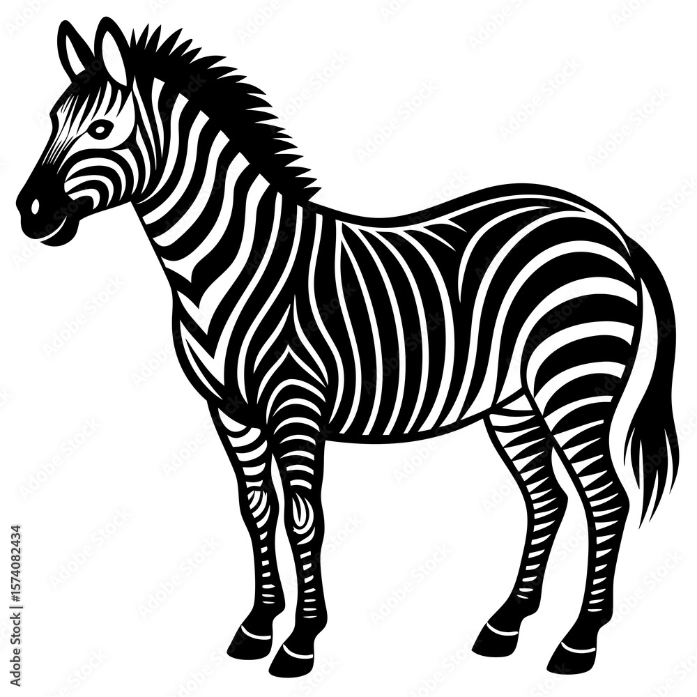 Obraz premium zebra vector illustration
