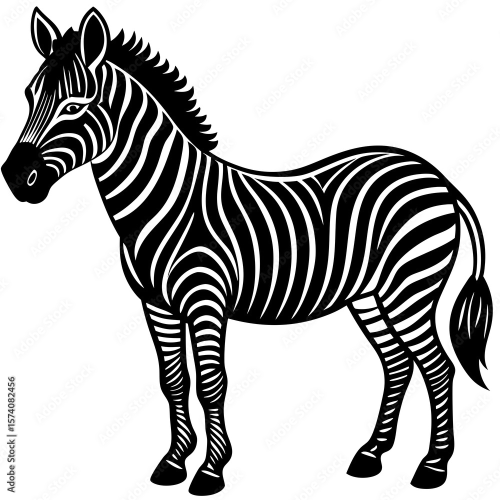 Fototapeta premium zebra vector illustration