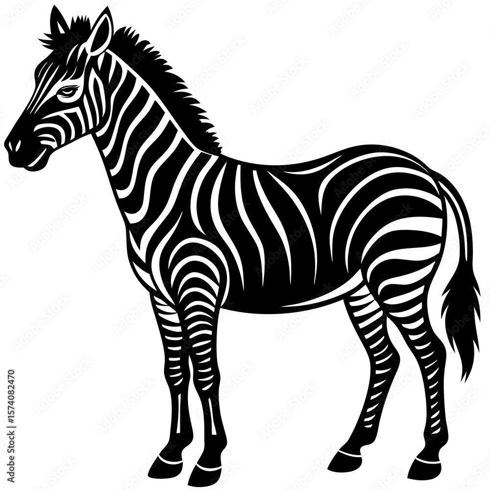 Obraz premium zebra vector illustration