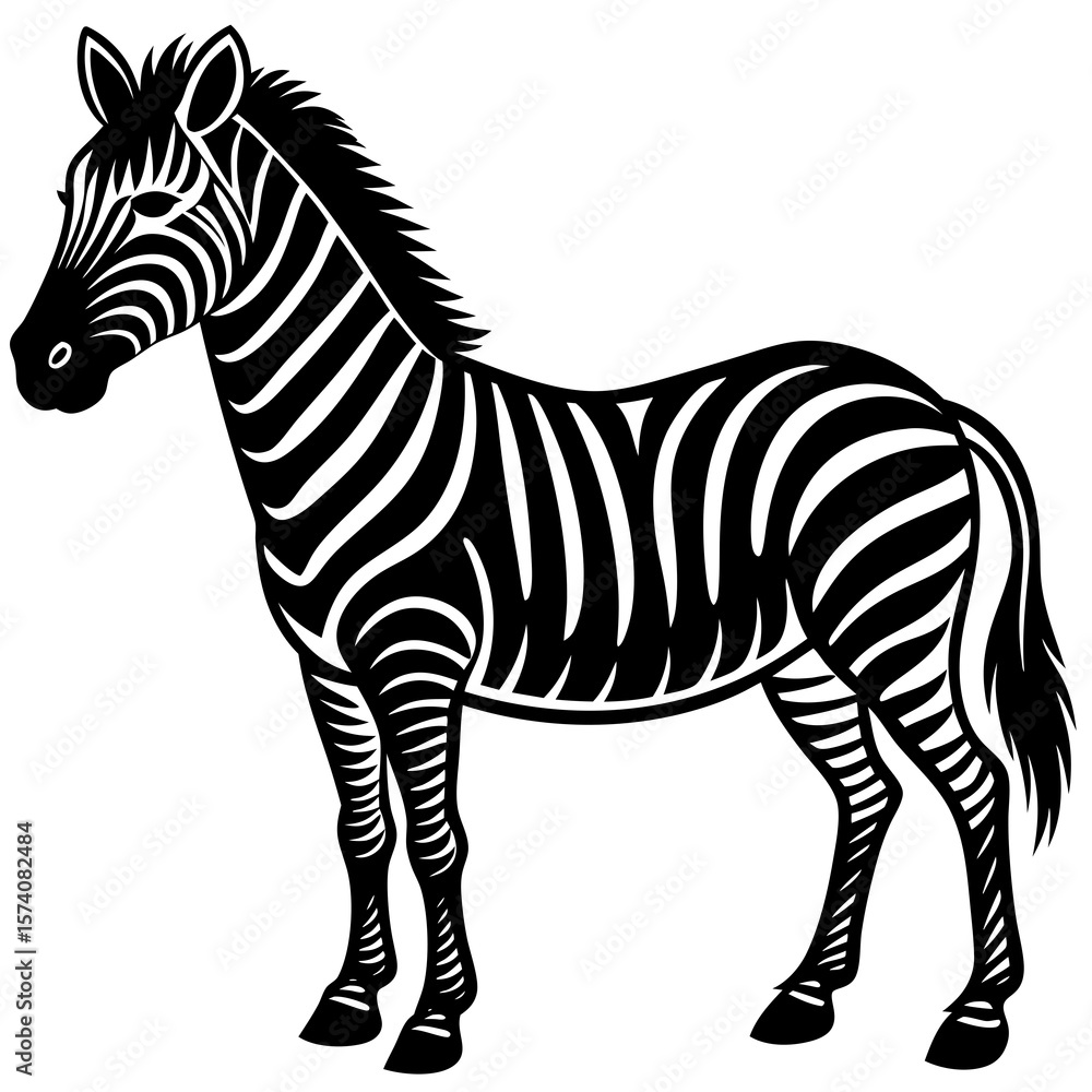 Fototapeta premium zebra vector illustration