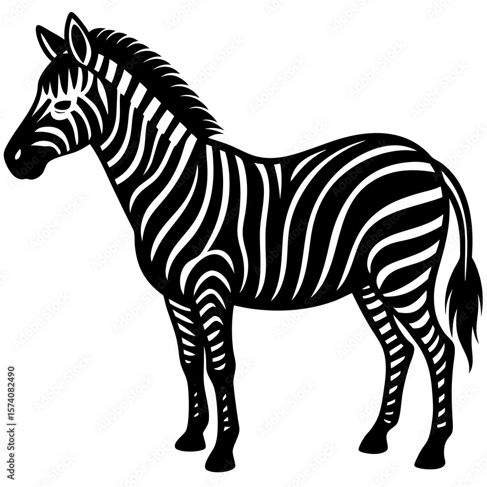 Obraz premium zebra vector illustration