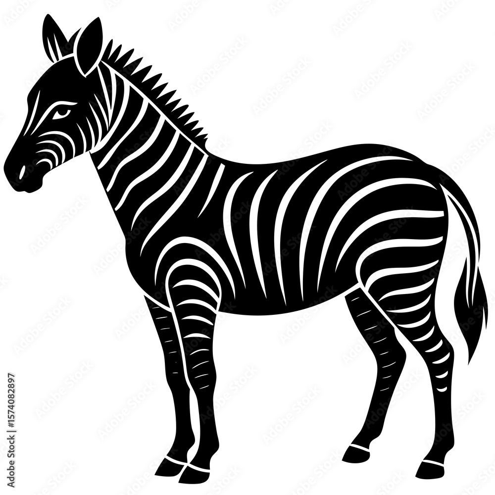 Obraz premium zebra isolated on white
