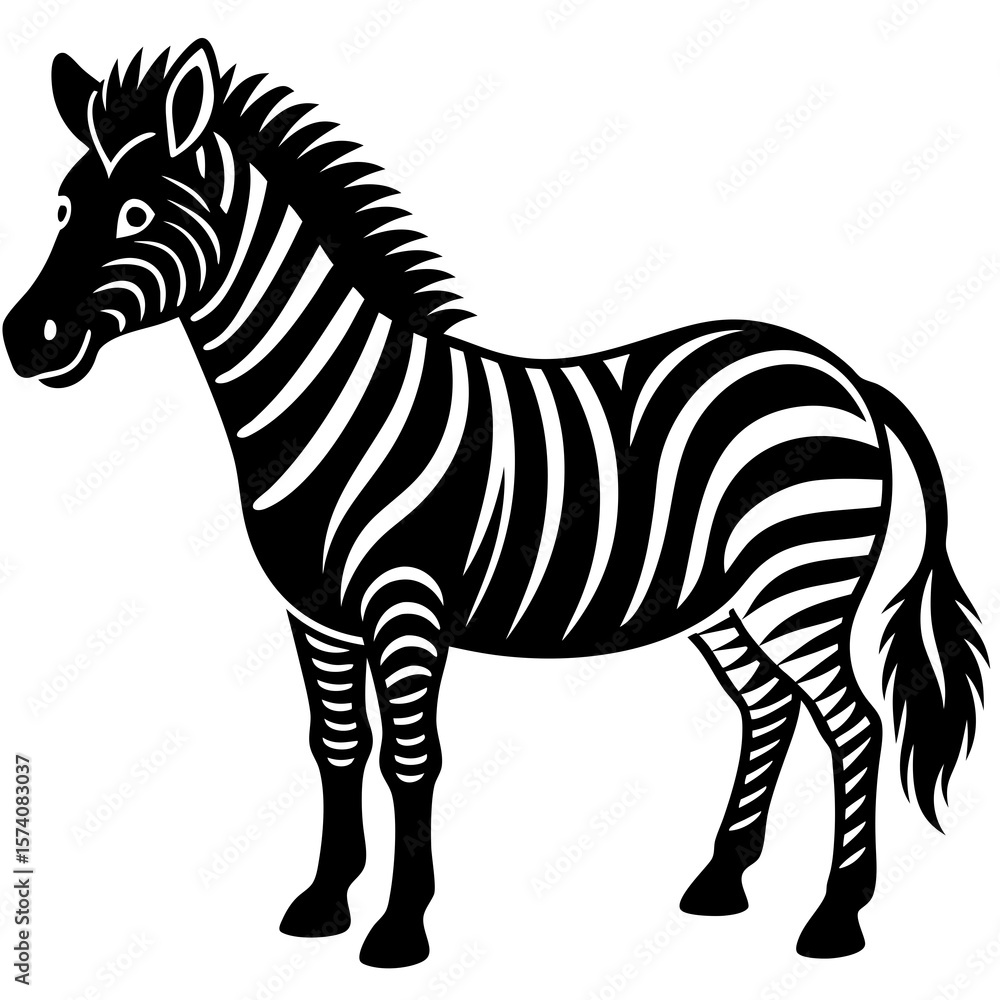 Obraz premium zebra isolated on white