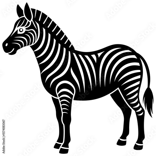 zebra isolated on white