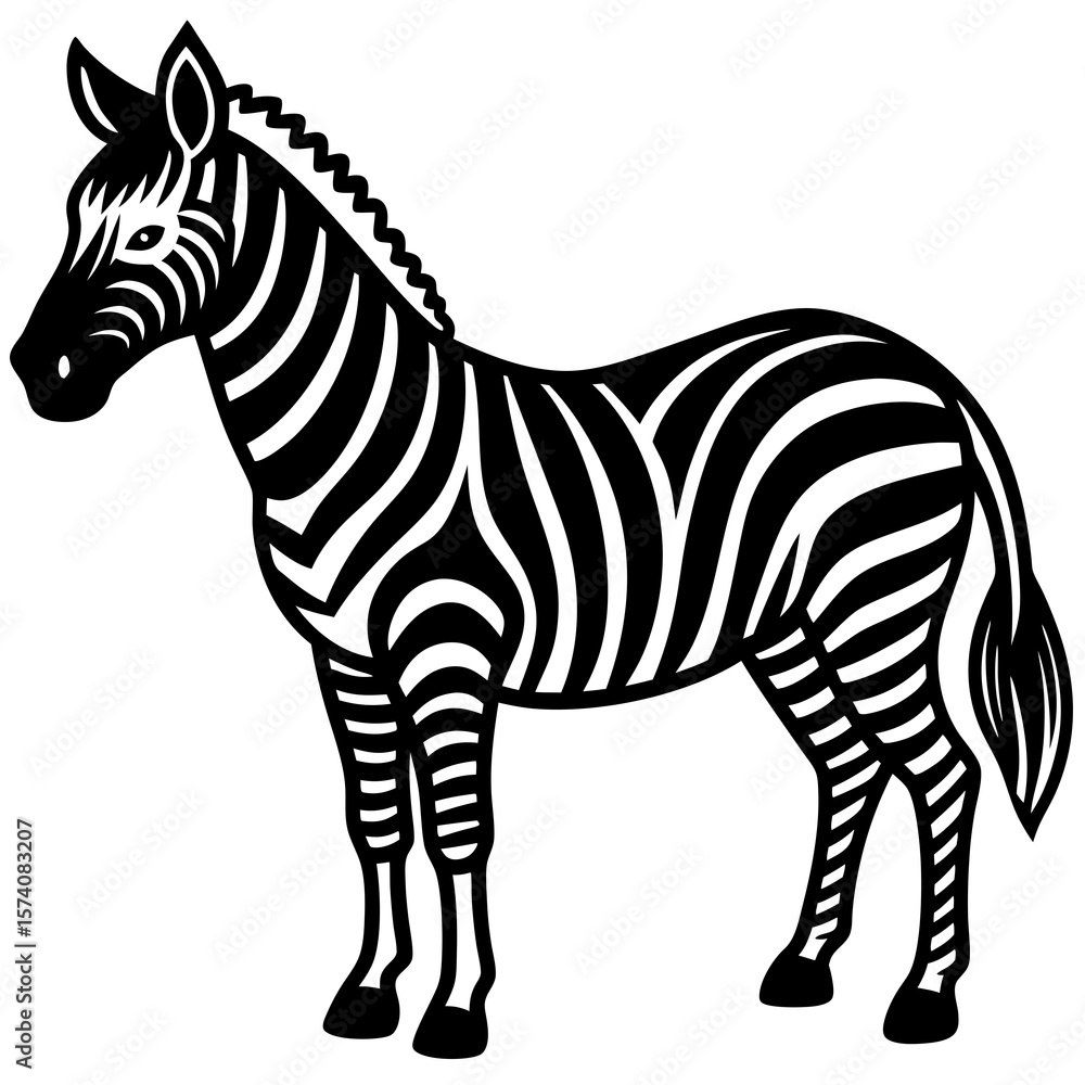 Obraz premium zebra vector illustration