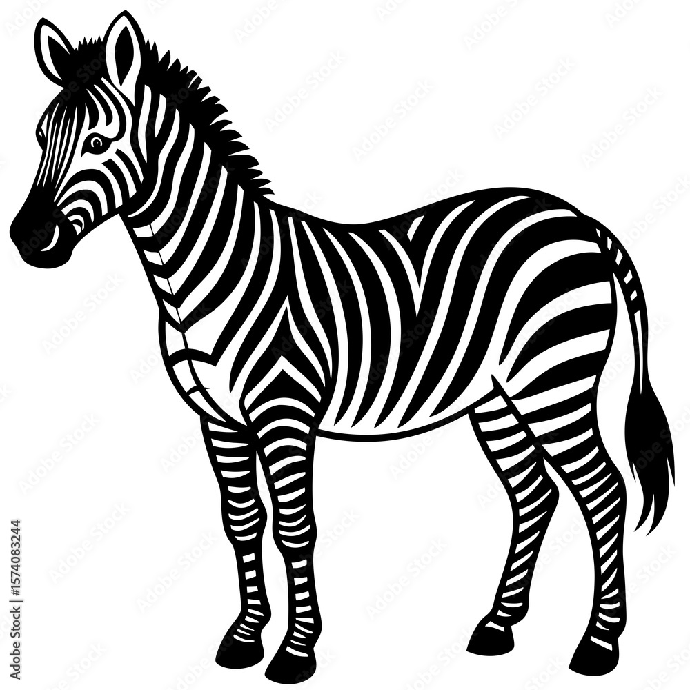Obraz premium zebra vector illustration