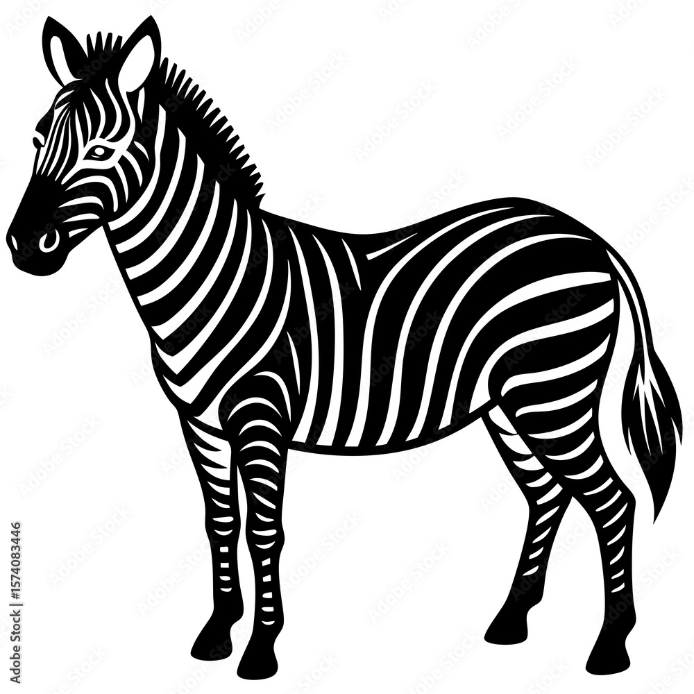 Obraz premium zebra vector illustration
