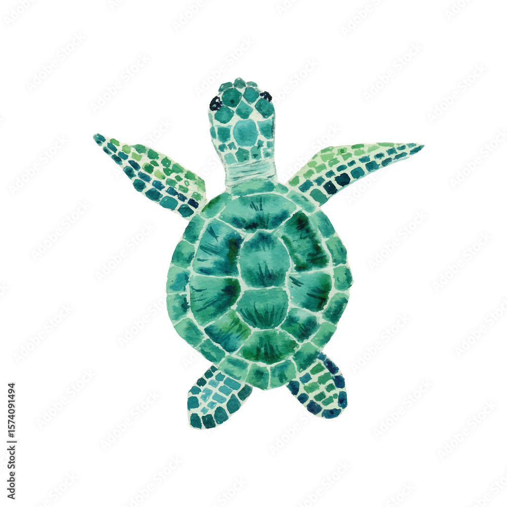Fototapeta premium watercolor green emerald sea turtle 