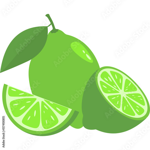 Lime Fruit Illustration