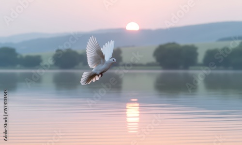 White dove flying over calm lake sunrise
