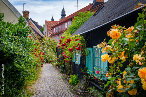 Wallpaper Mural Narrow street in the historical old town in Visby, Sweden Torontodigital.ca