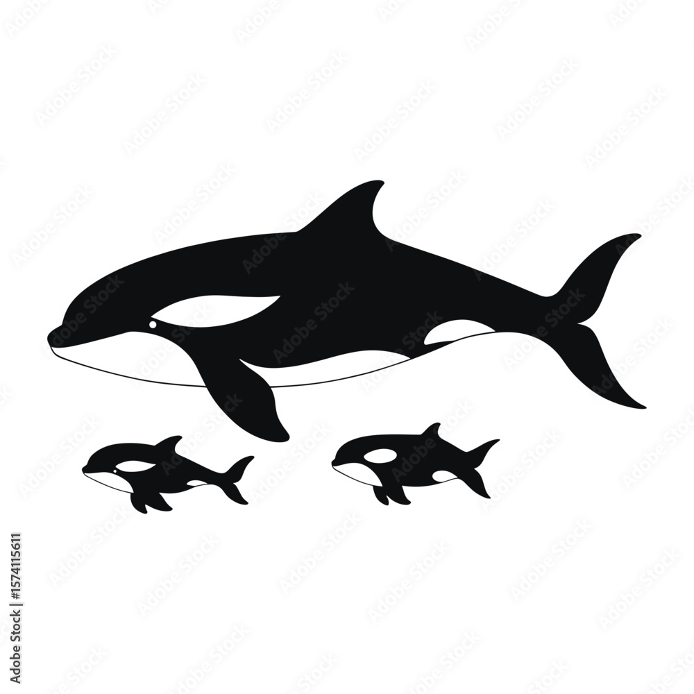 Fototapeta premium Orca whale and 2 cubs silhouette illustration white vector