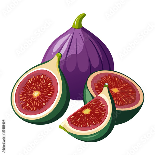 Fresh Purple Figs Whole, Halved, and Quartered - Sweet Fruit Vector
