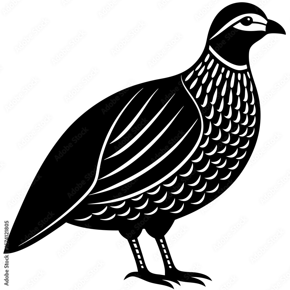 Obraz premium hen with eggs