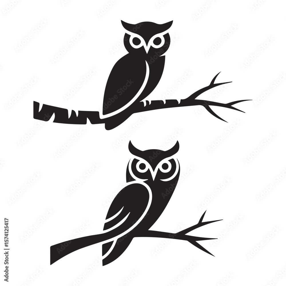 Fototapeta premium two owls on branch