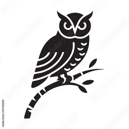 owl sitting on a branch