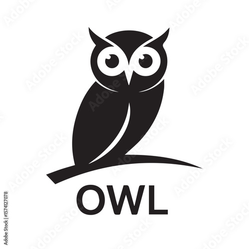 owl on white
