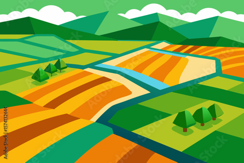 aerial view of rice fields in summer