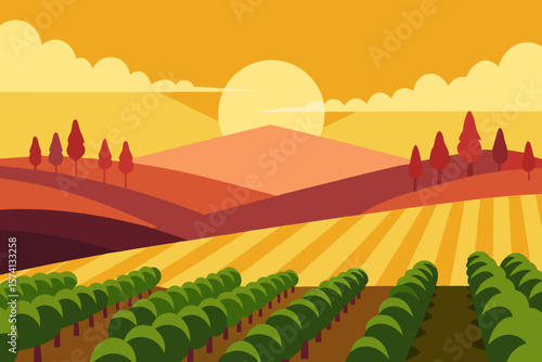 golden hour at a serene vineyard