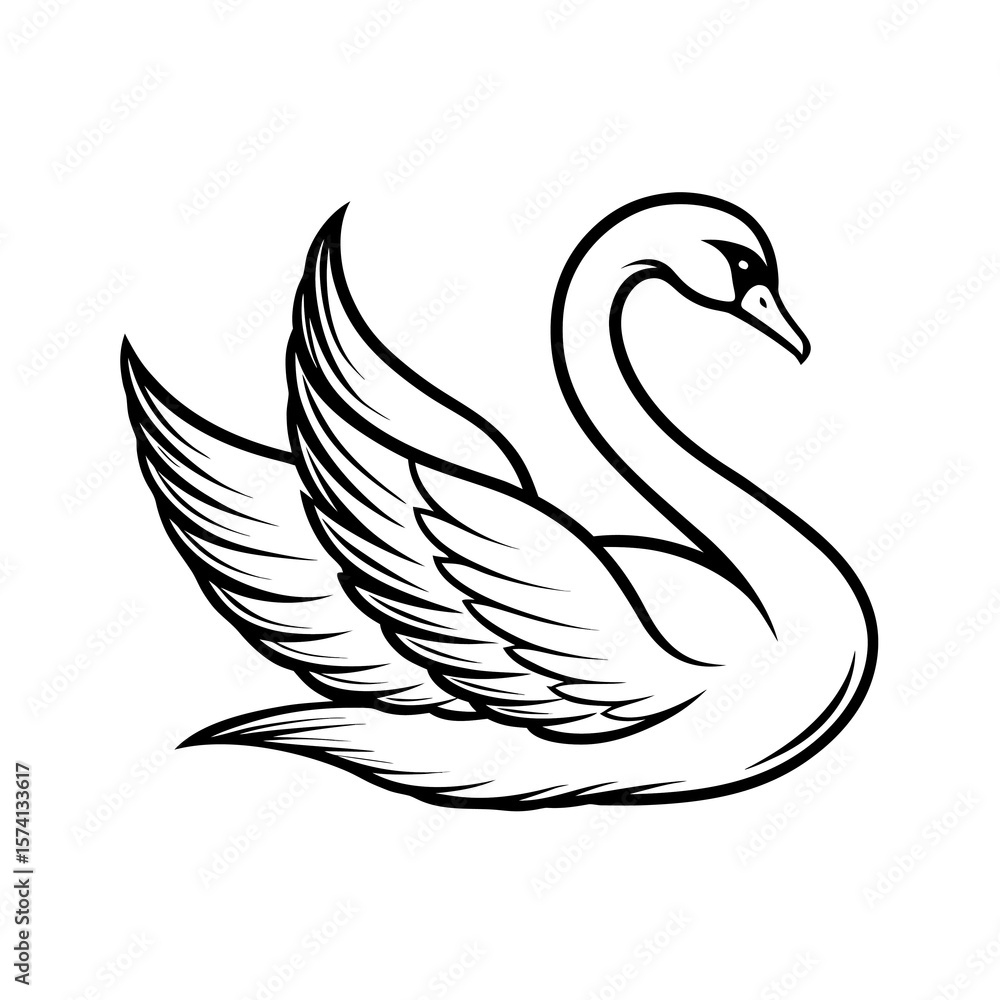 Obraz premium black swan vector