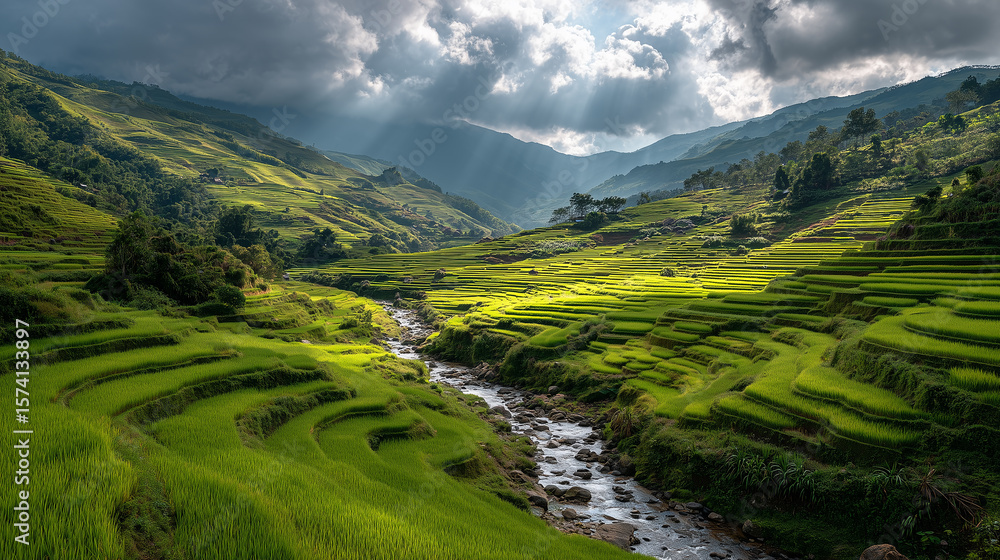 Naklejka premium rice terraces in bali