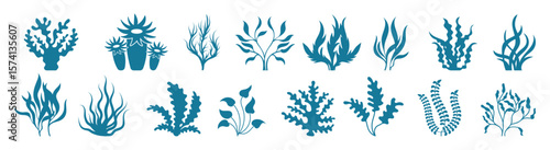 Ocean Plants and Marine Foliage Vector Set. Underwater Seaweed and Aquatic Botanical Elements