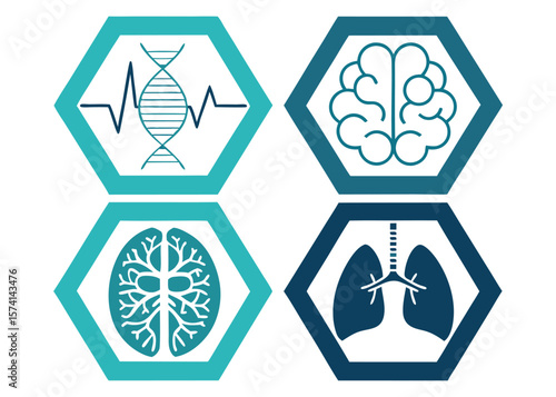 Medical Icons Brain Lungs D N A and Heart Rhythm in Hexagons