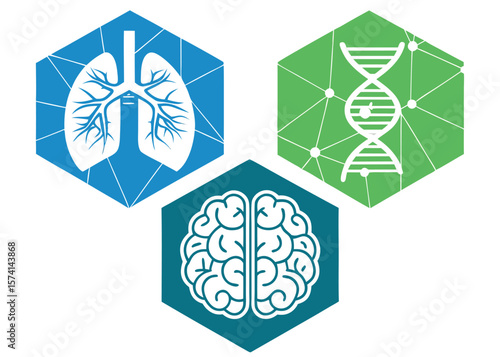 Medical Icons Lungs Brain D N A in Hexagons healthcare