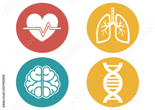 Medical Icons Heart Lungs Brain D N A in Circles on White Background