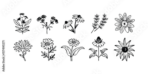 Medicinal Herbs Line Icon Set Vector Pictograms of Aromatic Plants and Herbal Remedies for Natural Health and Wellness on transparent background herbs line icon set