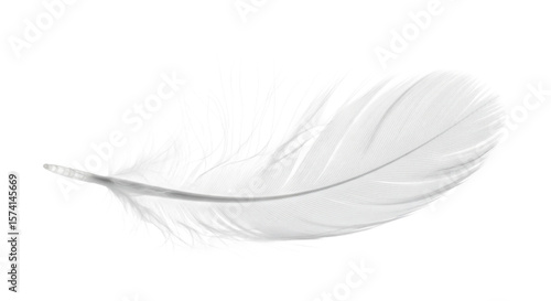 Elegant white feather delicately rests against a stark transparent background creating a minimalist composition