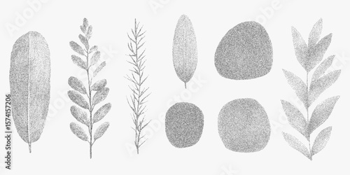 Set of black and white drawings of leaves, natural objects in different sizes and shapes. Retro pop art stipple sketch, paper photocopy texture, threshold.