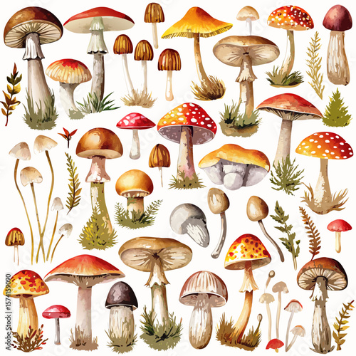 seamless pattern of mushrooms