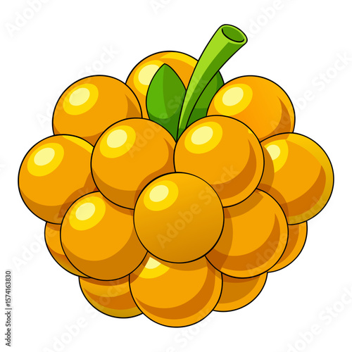 Golden berries with green stem and leaves yellow orange